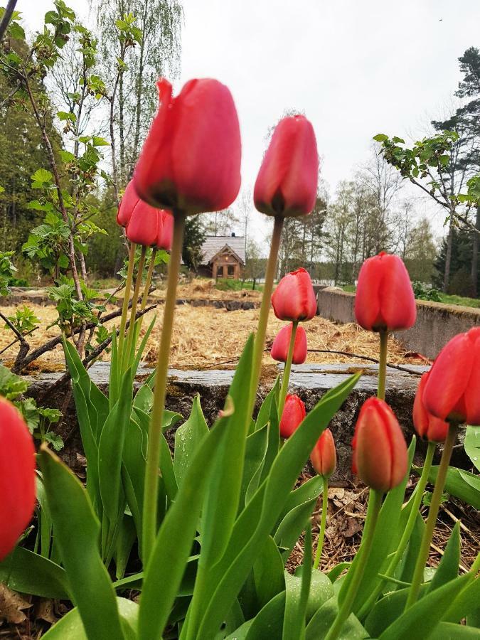 Garpenbergs B&B, Bnb Bagian luar foto